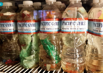 Dos vitaminas clave podrían ser la clave para reducir el riesgo de muerte por toxicidad de los plásticos