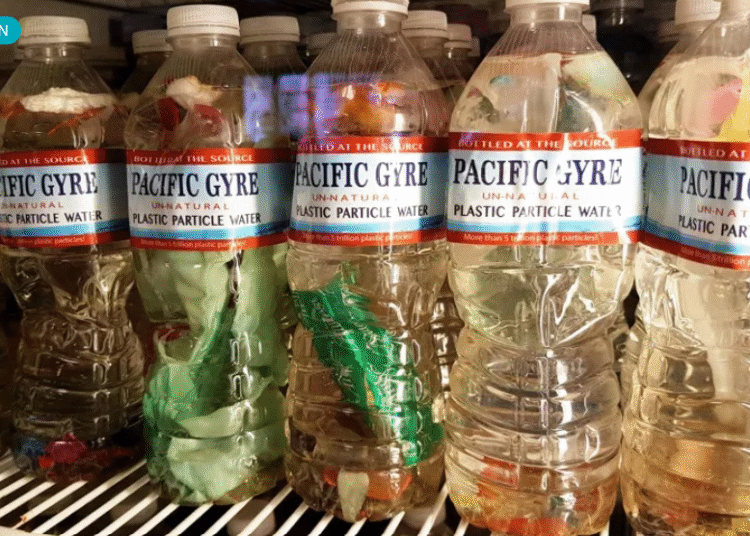 Dos vitaminas clave podrían ser la clave para reducir el riesgo de muerte por toxicidad de los plásticos