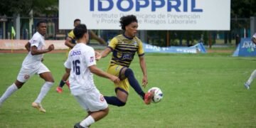 Delfines y Vega Real chocan por la gloria: quién se lleva el título de la LDF Expansión