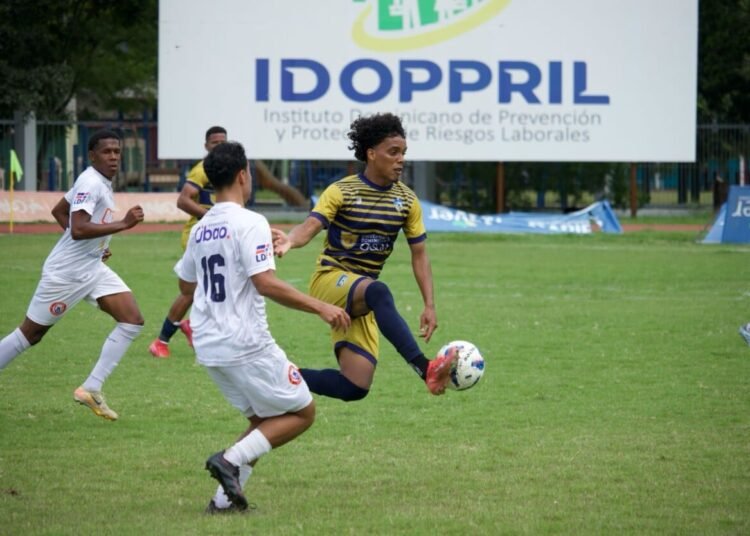 Delfines y Vega Real chocan por la gloria: quién se lleva el título de la LDF Expansión