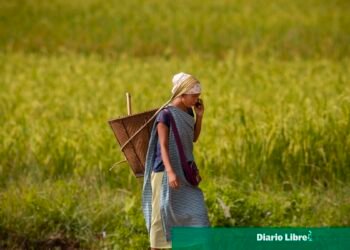Impulsando el campo: cómo el programa de mujeres rurales está transformando la economía local