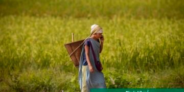 Impulsando el campo: cómo el programa de mujeres rurales está transformando la economía local