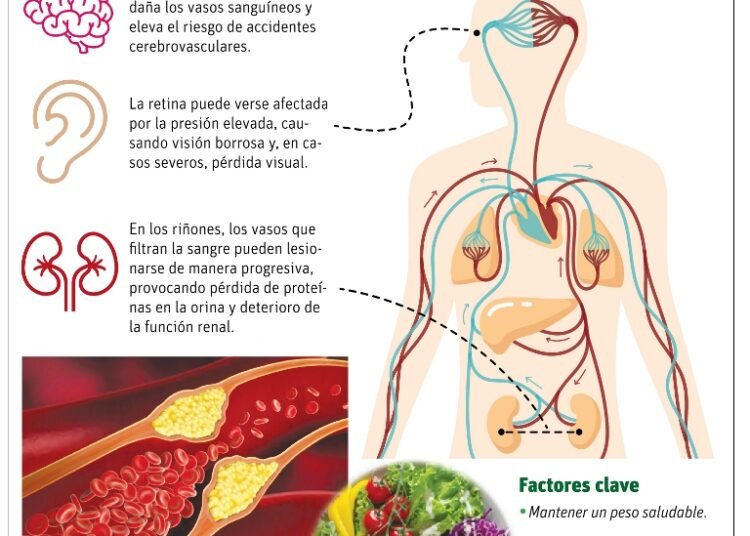 Por qué conocer tus indicadores de salud es la clave para prevenir enfermedades graves