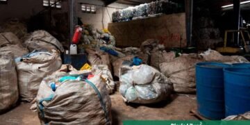 Revolución en la gestión de basura: así cambiará la ley de residuos sólidos