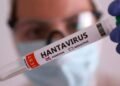 Alerta sanitaria: confirman un nuevo caso de hantavirus y la cifra asciende a 6 afectados