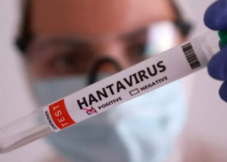 Alerta sanitaria: confirman un nuevo caso de hantavirus y la cifra asciende a 6 afectados