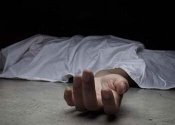 Así han evolucionado las muertes en el país desde 2013 según el nuevo informe oficial