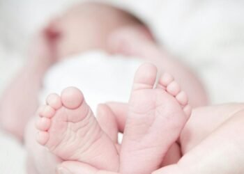 Septiembre es el mes con más nacimientos en 2025: ¿conoces a alguien que cumpla años entonces?
