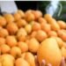 República Dominicana bate récord con más de 34 millones de mangos exportados en 2025