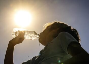 Ola de calor y cero lluvias: El clima ideal para disfrutar la playa este feriado