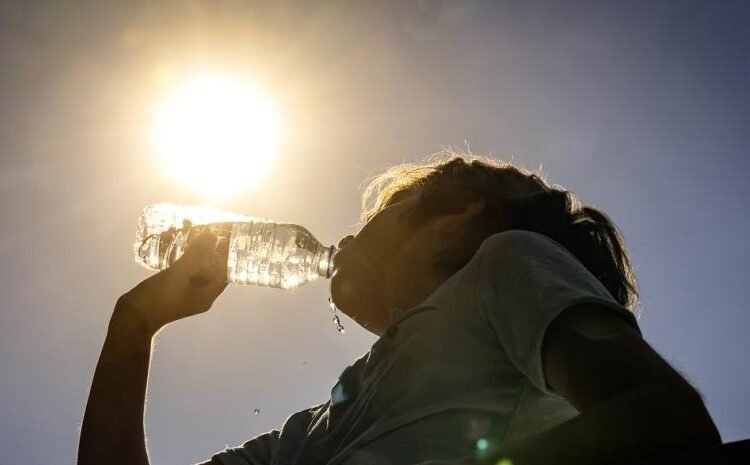 Ola de calor y cero lluvias: El clima ideal para disfrutar la playa este feriado