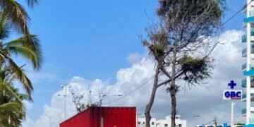 Conductores de carga mayores de 65 años deberán renovar su licencia anualmente