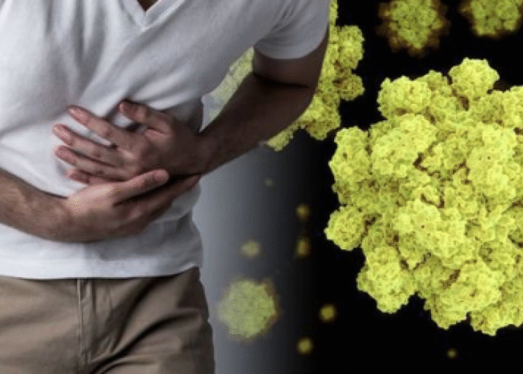 Brote de norovirus en crucero: más de 100 pasajeros afectados y este es su estado de salud actual