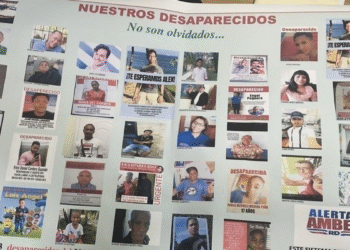 Nuevas alertas blindarán a niños, mujeres y adultos mayores ante cualquier peligro