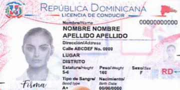 Cambios en las licencias de conducir: el Gobierno prepara nuevas reglas para mayores de 65 años