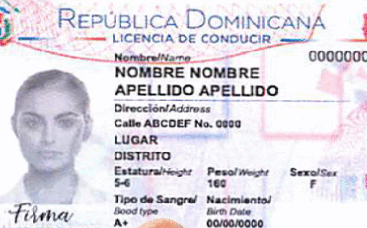 Cambios en las licencias de conducir: el Gobierno prepara nuevas reglas para mayores de 65 años