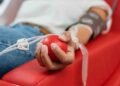 ¿Eres A+ u O+? Urgente: buscan donantes de sangre para salvar vidas