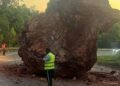 Roca gigante bloquea Autopista Nordeste: sigue estas recomendaciones para transitar con seguridad