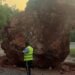 Roca gigante bloquea Autopista Nordeste: sigue estas recomendaciones para transitar con seguridad