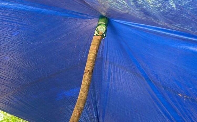 Vecinos levantan campamento en La Cuaba para frenar la construcción de un vertedero