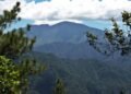 Alerta ambiental: La cobertura forestal de República Dominicana apenas alcanza el 42 %