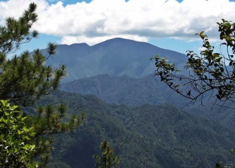 Alerta ambiental: La cobertura forestal de República Dominicana apenas alcanza el 42 %