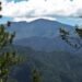 Alerta ambiental: La cobertura forestal de República Dominicana apenas alcanza el 42 %