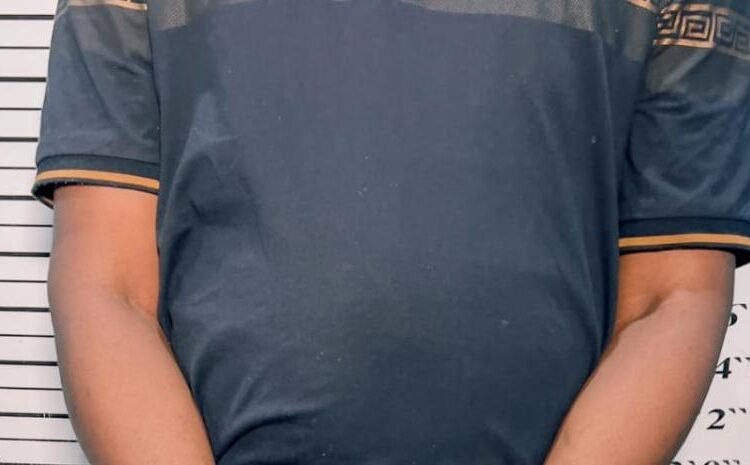 Extraditan a Puerto Rico a dominicano buscado por asesinato de primer grado