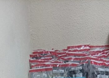 Incautan maletas con presunta marihuana en el Aeropuerto de Punta Cana: DNCD despliega operativo