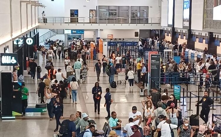 Salud Pública confirma que el riesgo de hantavirus en República Dominicana sigue siendo bajo