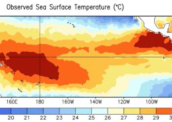 Alerta climática: El fenómeno de El Niño regresaría en 2026 y se extendería hasta 2027