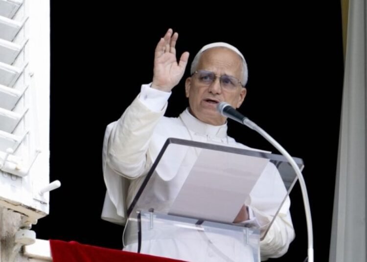 El Papa advierte que las guerras son el mayor obstáculo para salvar el medio ambiente