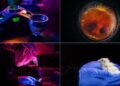 La nueva era de la incubación artificial que está transformando la ciencia médica