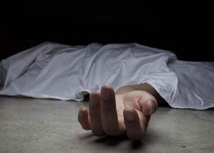 Alerta en República Dominicana: epidemiólogo advierte por el preocupante aumento de los feminicidios