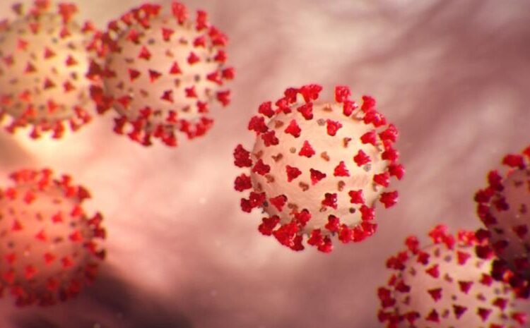 Alerta por el repunte de casos de covid-19 en consultas médicas según la Sociedad de Neumología