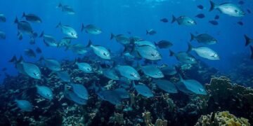 Cambio climático: qué lo provoca realmente y cómo está transformando nuestro planeta hoy