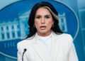 Tulsi Gabbard deja su cargo en la Inteligencia de Donald Trump según reporta Fox News