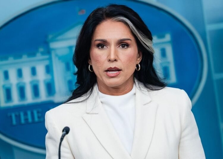 Tulsi Gabbard deja su cargo en la Inteligencia de Donald Trump según reporta Fox News