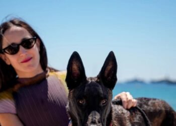 La perra protagonista de Anatomía de una caída hace historia al ganar el Palm Dog en Cannes