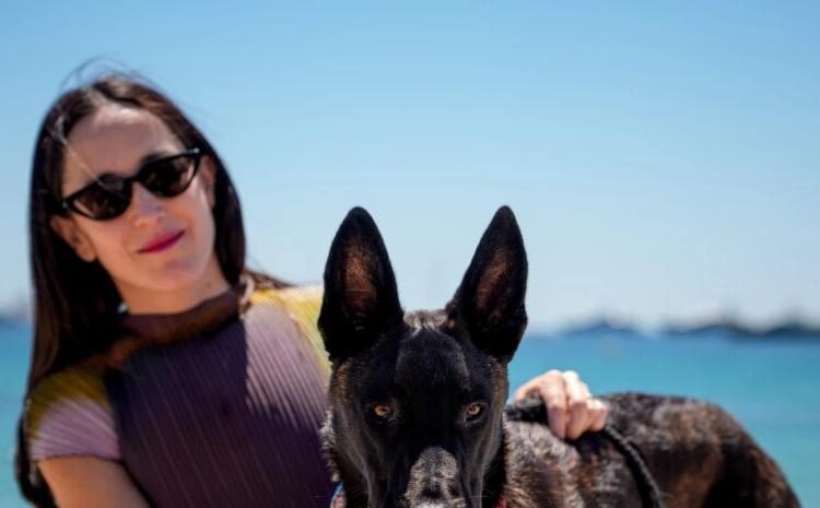 La perra protagonista de Anatomía de una caída hace historia al ganar el Palm Dog en Cannes
