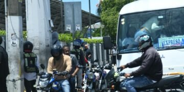 La deuda pendiente con los montoconchos: por qué las autoridades siguen ignorando su regulación