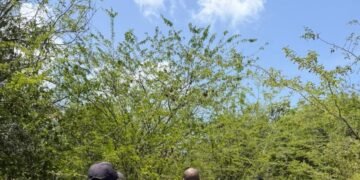 Golpe al microtráfico: Caen dos personas tras operativo policial en Boca Chica