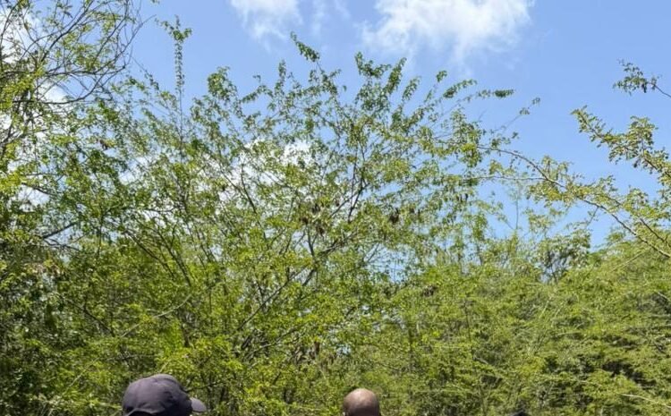 Golpe al microtráfico: Caen dos personas tras operativo policial en Boca Chica