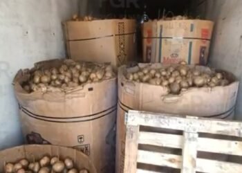 Golpe al narco: decomisan una tonelada de metanfetamina en el norte de México