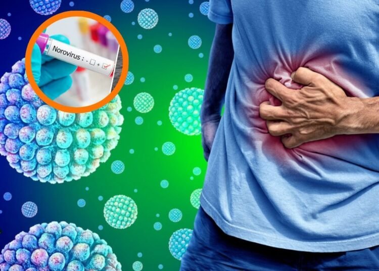 El virus que se confunde con una intoxicación alimentaria y dispara las alarmas en cruceros
