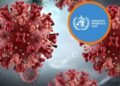 Hantavirus: la verdad sobre su transmisión y cómo evitar el riesgo por contacto estrecho