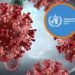 Hantavirus: la verdad sobre su transmisión y cómo evitar el riesgo por contacto estrecho