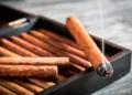Día Mundial Sin Tabaco: los riesgos mortales que debes conocer para dejar de fumar hoy mismo