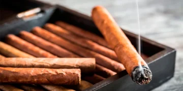 Día Mundial Sin Tabaco: los riesgos mortales que debes conocer para dejar de fumar hoy mismo