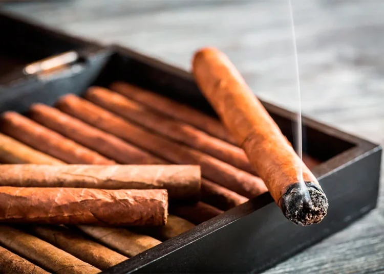 Día Mundial Sin Tabaco: los riesgos mortales que debes conocer para dejar de fumar hoy mismo